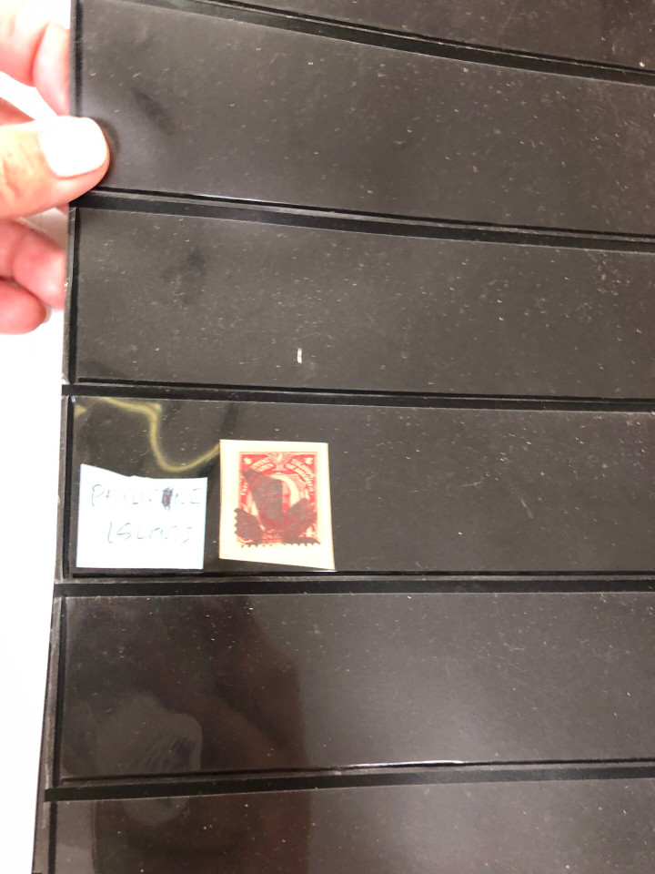 INTERNATIONAL SELECTION – 426040