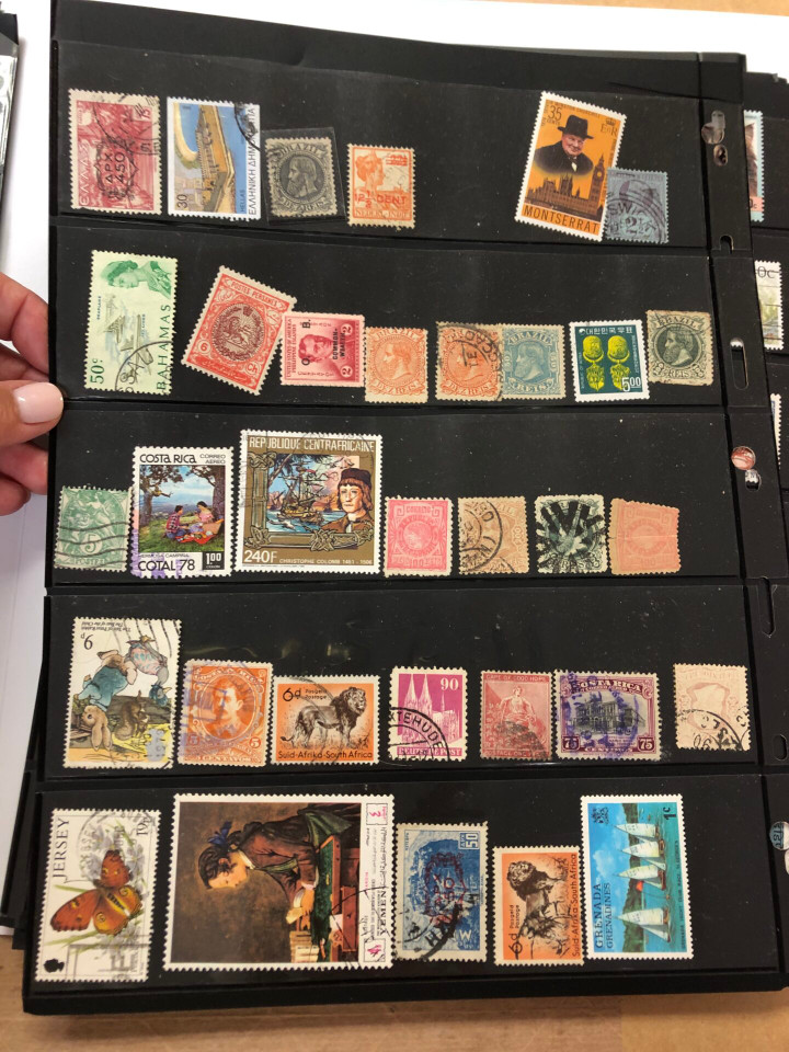 INTERNATIONAL SELECTION – 426040