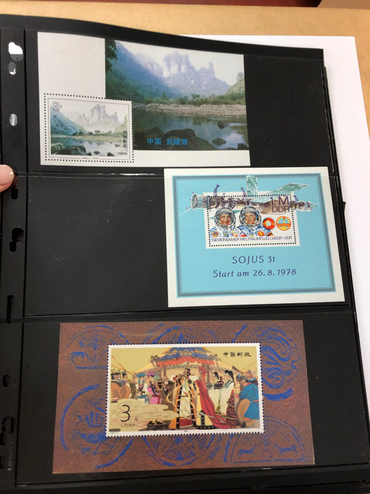 INTERNATIONAL SELECTION – 426040