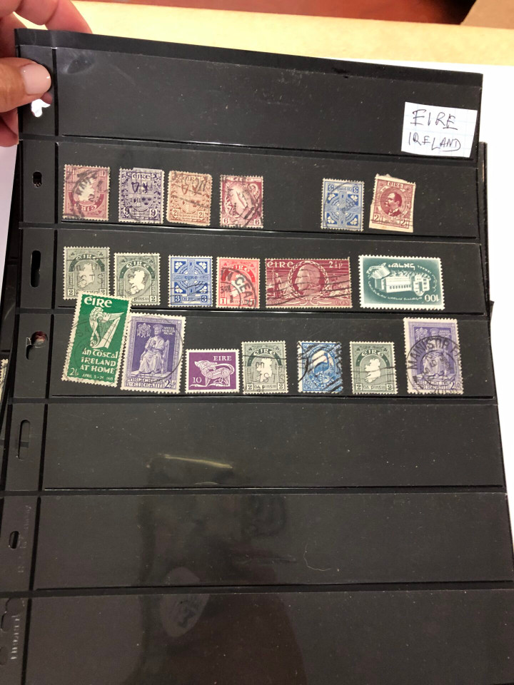 INTERNATIONAL SELECTION – 426040