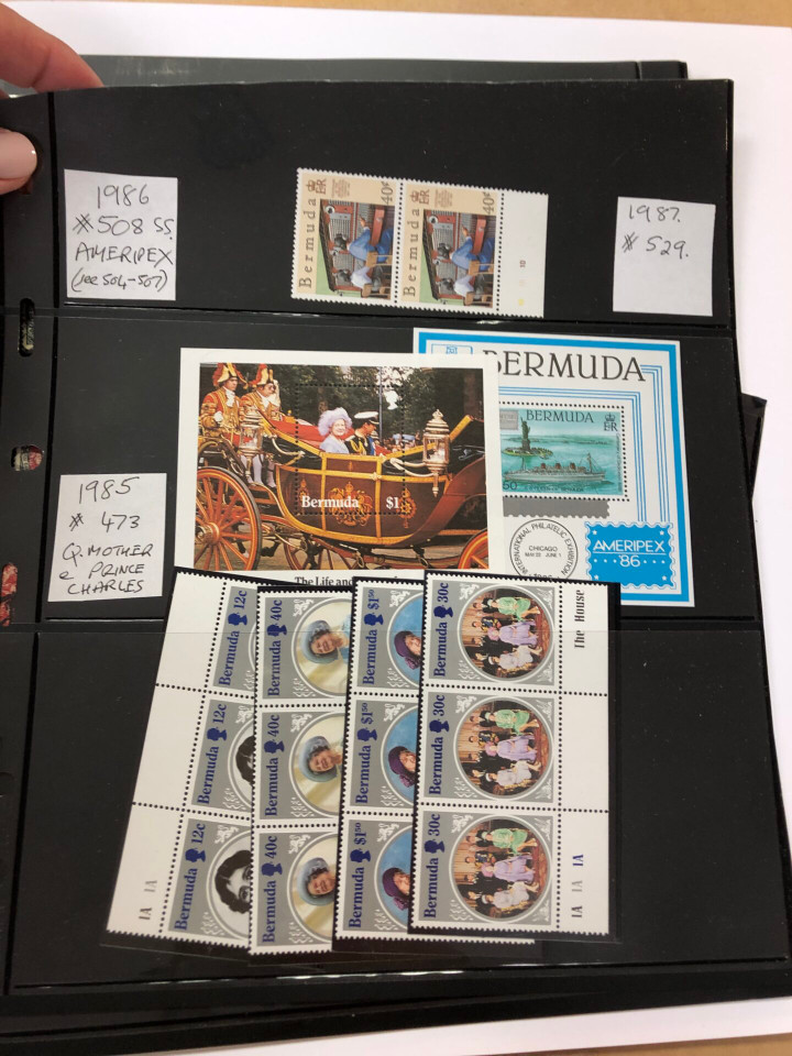 INTERNATIONAL SELECTION – 426040