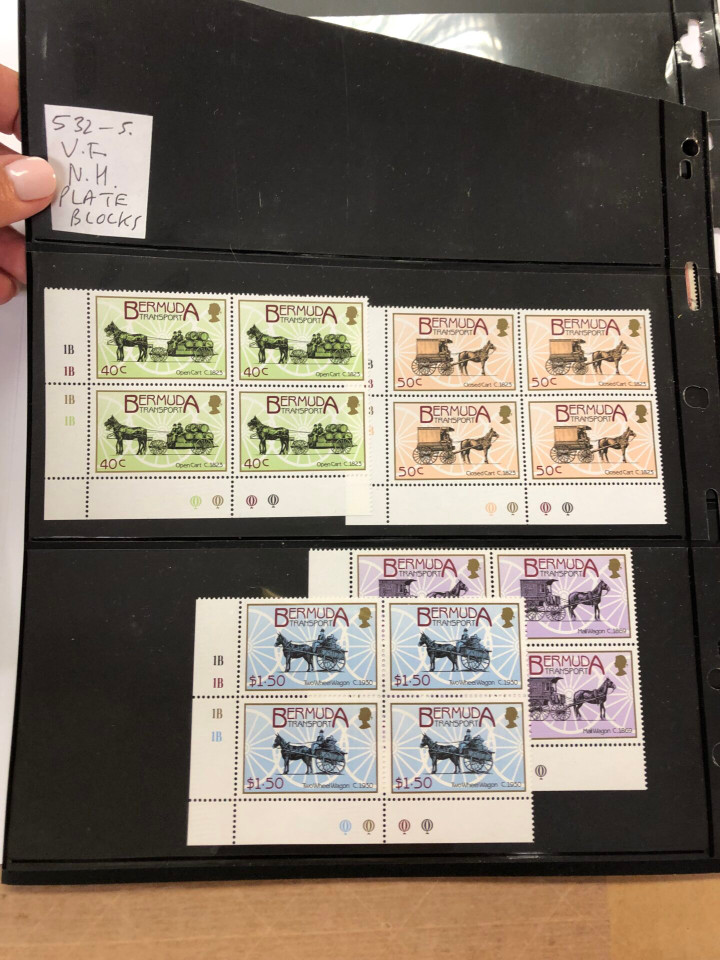 INTERNATIONAL SELECTION – 426040