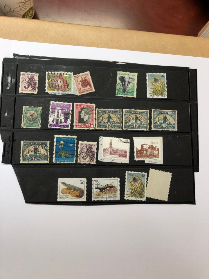 INTERNATIONAL SELECTION – 426040