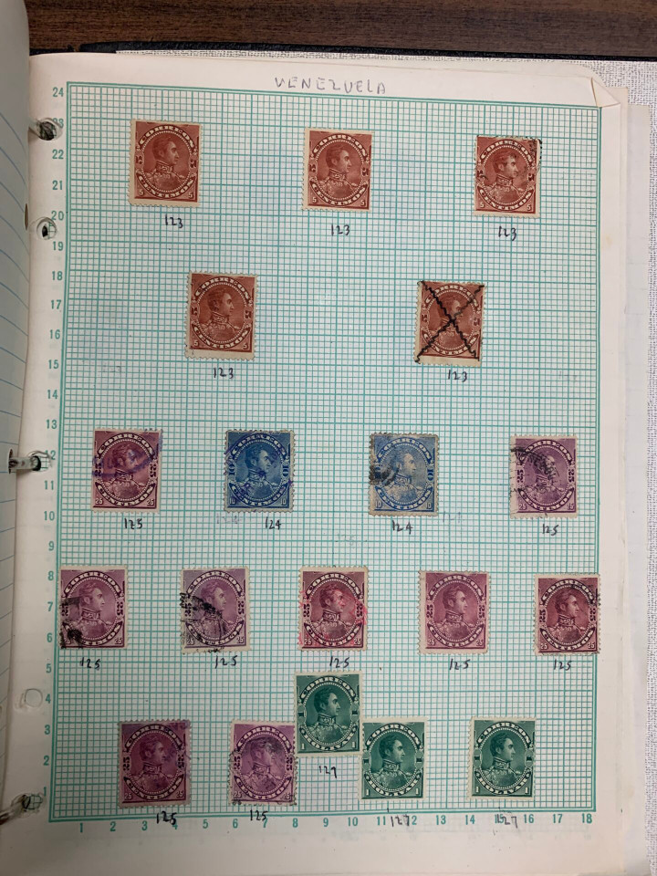 HONG KING, INDIAN STATES, COMMONWEALTH & LATIN AMERICA - Diverse International Stamp Selection of  – 425976