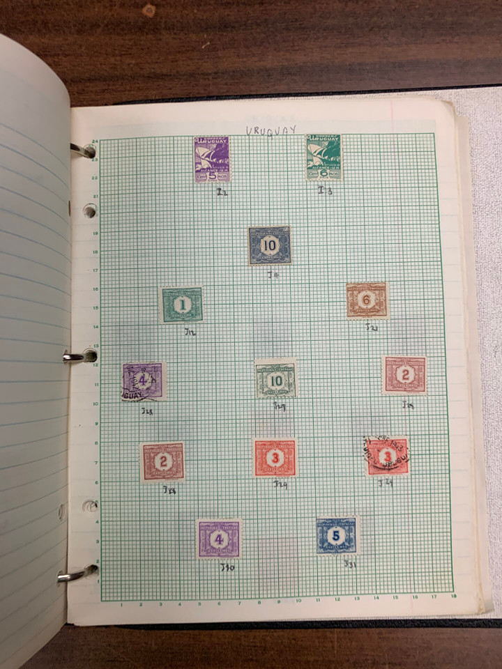 HONG KING, INDIAN STATES, COMMONWEALTH & LATIN AMERICA - Diverse International Stamp Selection of  – 425976