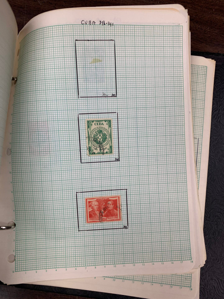 HONG KING, INDIAN STATES, COMMONWEALTH & LATIN AMERICA - Diverse International Stamp Selection of  – 425976