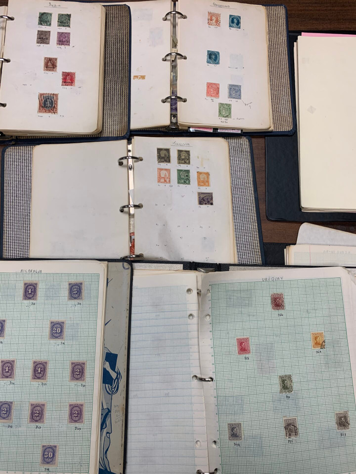 HONG KING, INDIAN STATES, COMMONWEALTH & LATIN AMERICA - Diverse International Stamp Selection of  – 425976