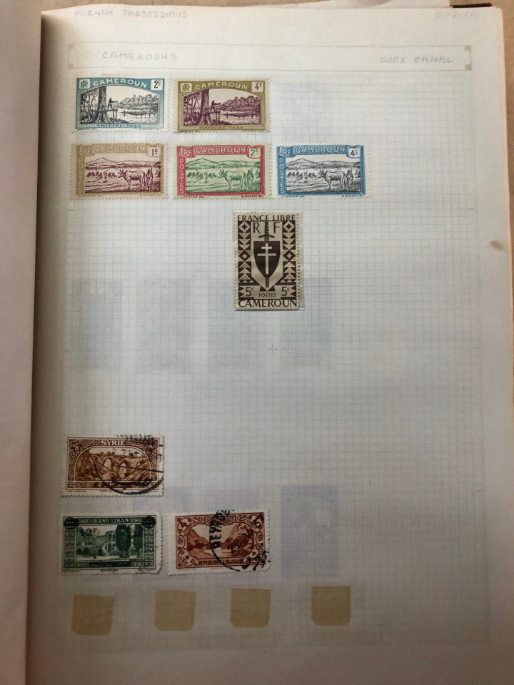 INTERNATIONAL VOLUME ARGENTINA TO UNITED STATES – 426379