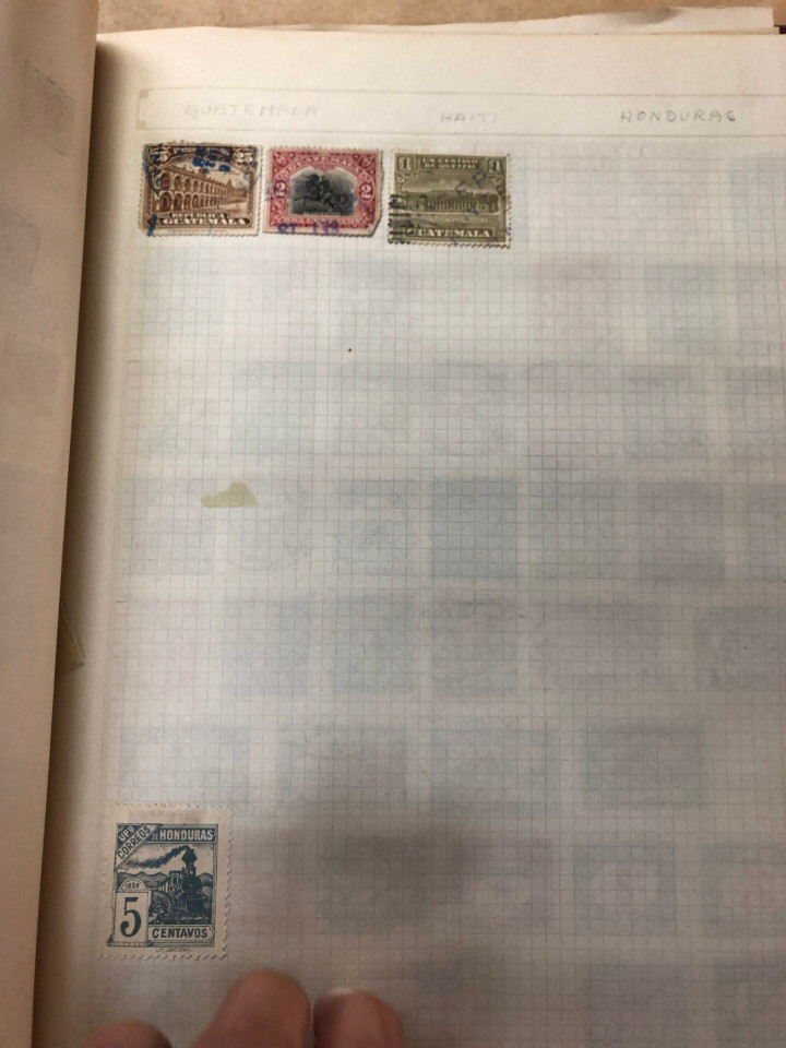 INTERNATIONAL VOLUME ARGENTINA TO UNITED STATES – 426379