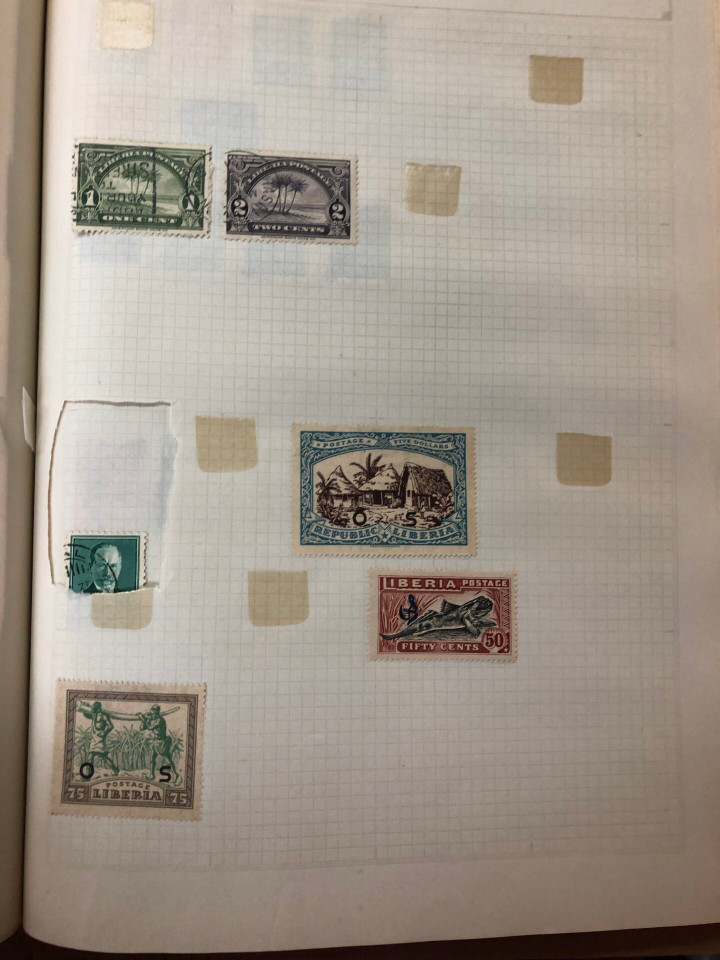 INTERNATIONAL VOLUME ARGENTINA TO UNITED STATES – 426379