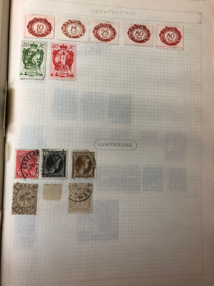 INTERNATIONAL VOLUME ARGENTINA TO UNITED STATES – 426379