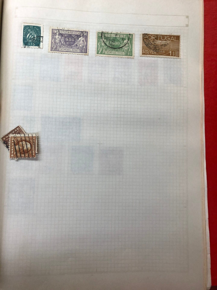 INTERNATIONAL VOLUME ARGENTINA TO UNITED STATES – 426379