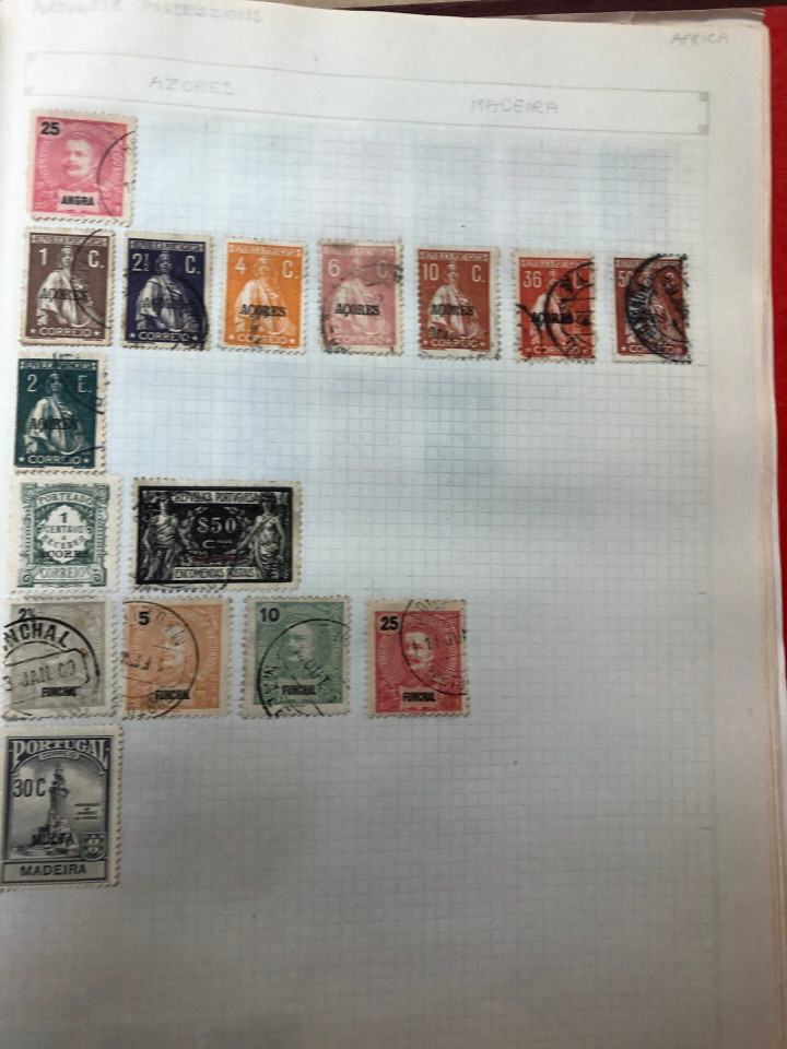 INTERNATIONAL VOLUME ARGENTINA TO UNITED STATES – 426379