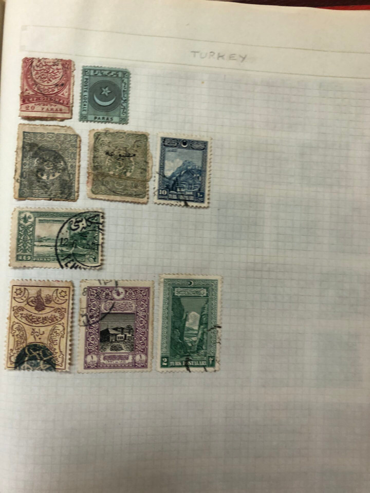 INTERNATIONAL VOLUME ARGENTINA TO UNITED STATES – 426379