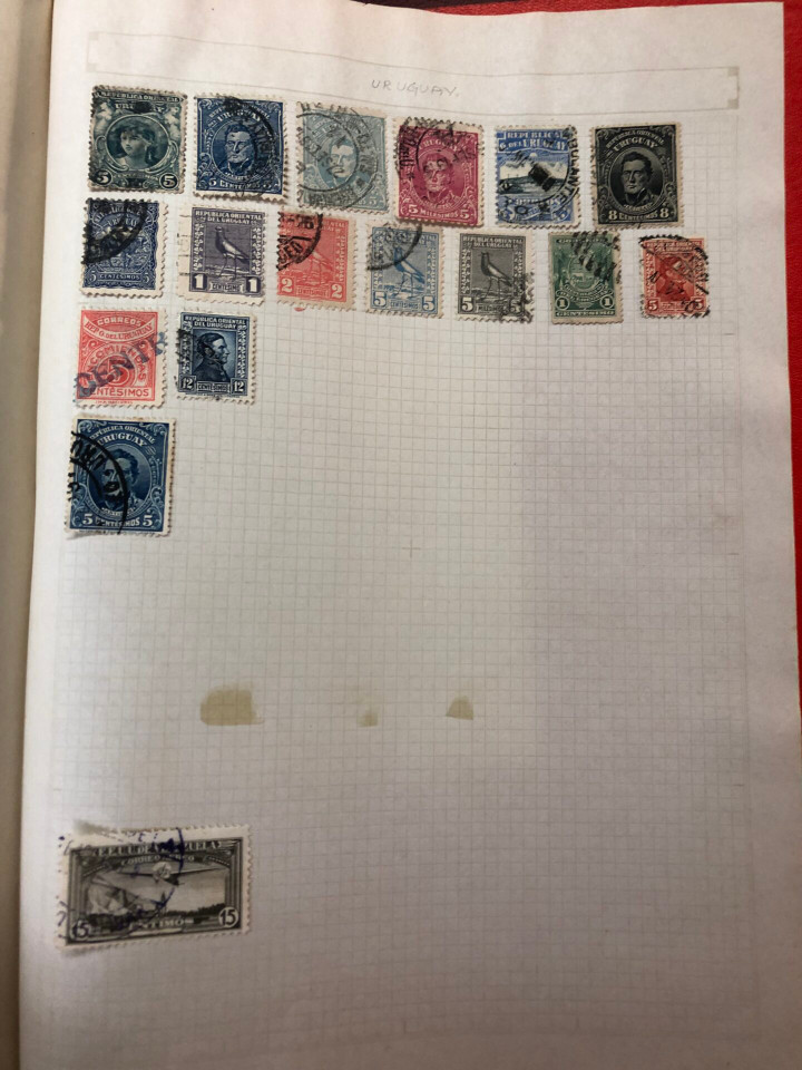 INTERNATIONAL VOLUME ARGENTINA TO UNITED STATES – 426379