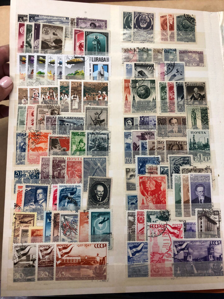 INTERNATIONAL SELECTION – 425985