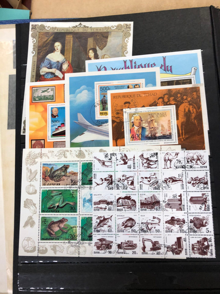 INTERNATIONAL SELECTION – 425985