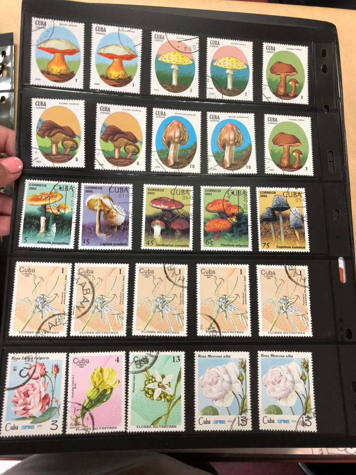 MINT AND USED INTERNATIONAL SELECTION – 425984