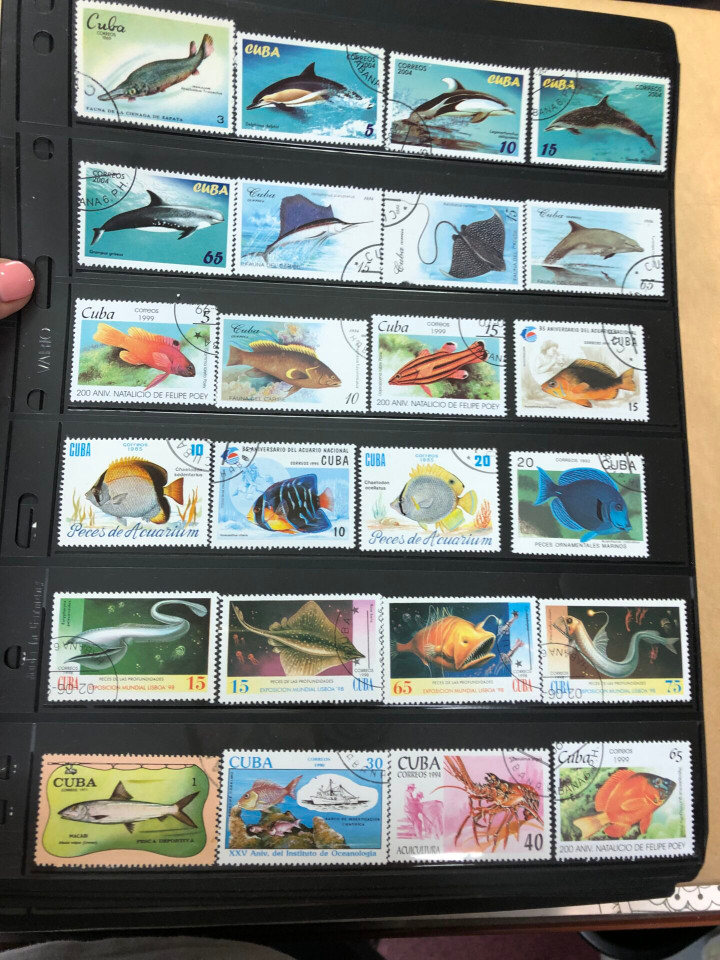 MINT AND USED INTERNATIONAL SELECTION – 425984