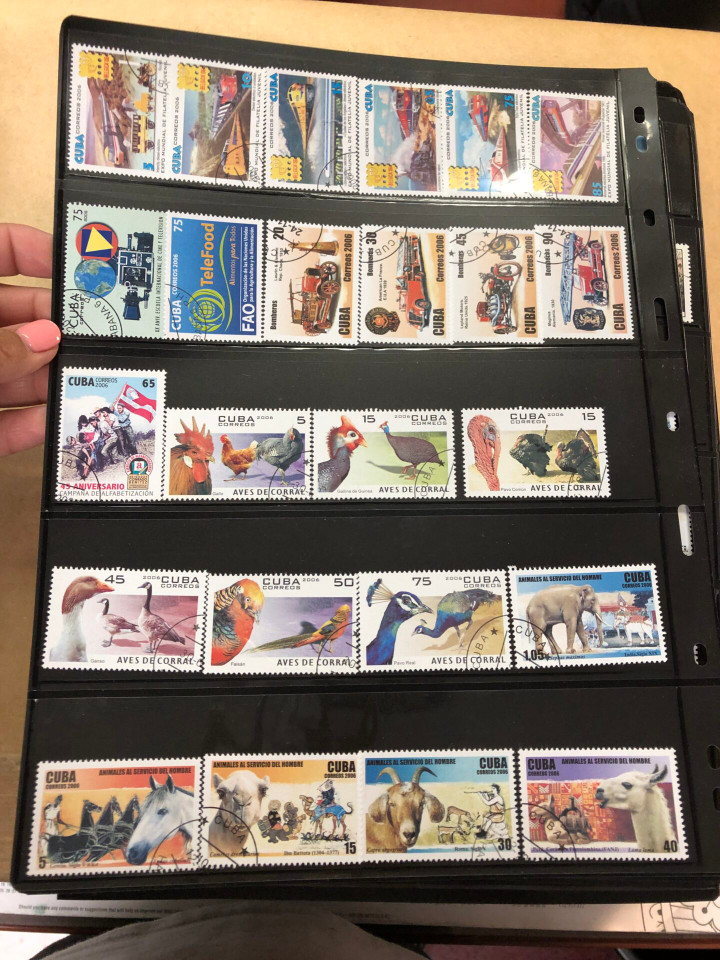 MINT AND USED INTERNATIONAL SELECTION – 425984