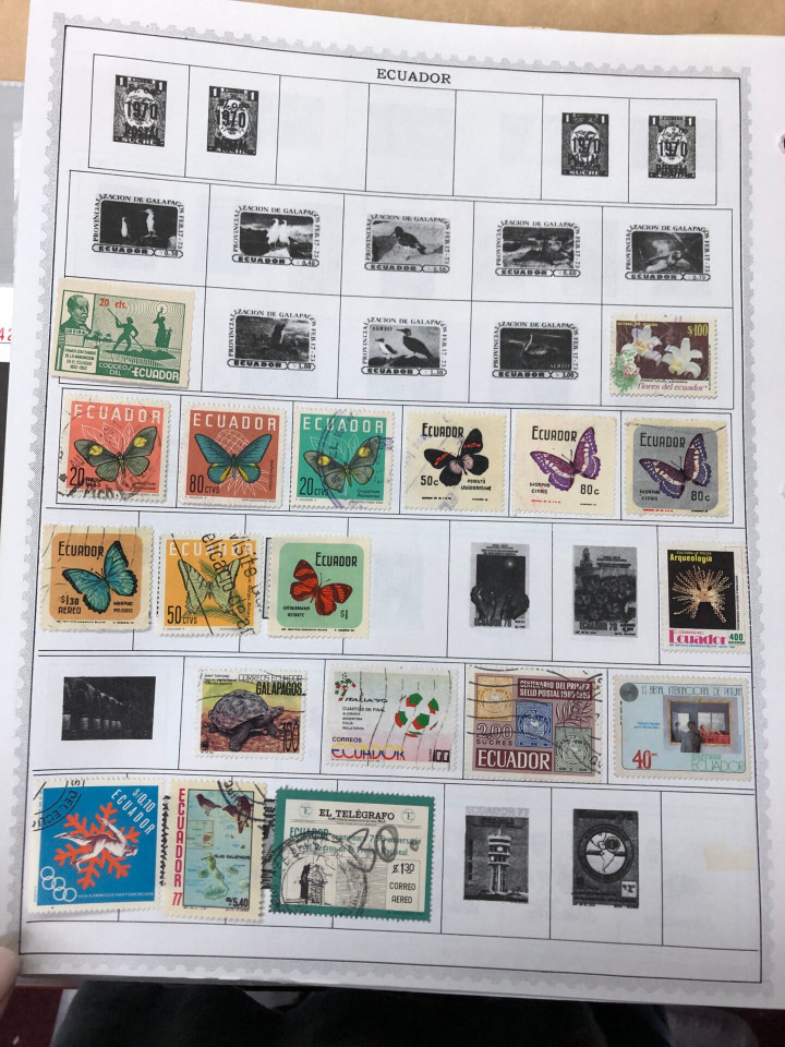 INTERNATIONAL COLLECTION - C TO F COUNTRIES - 425951