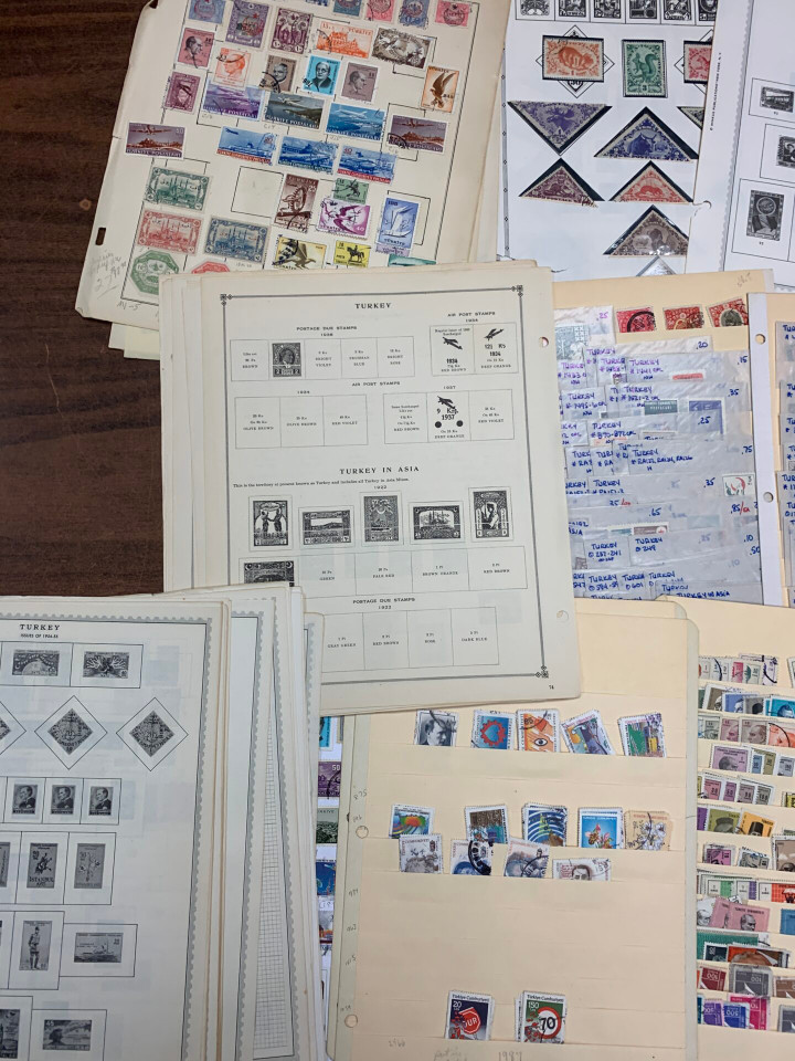 INTERNATIONAL SELECTION – 425963