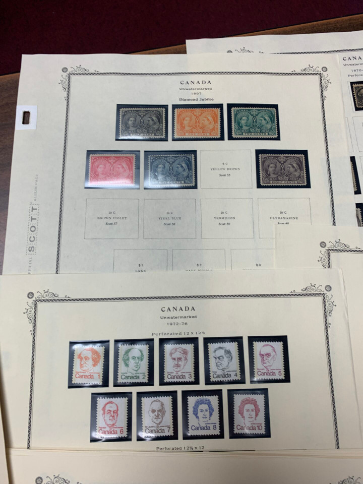 INTERNATIONAL SELECTION – 425963