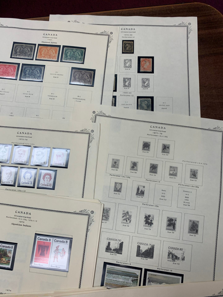 INTERNATIONAL SELECTION – 425963