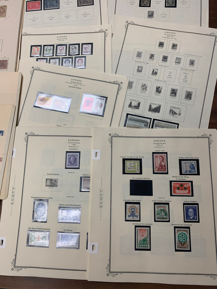 INTERNATIONAL SELECTION – 425963