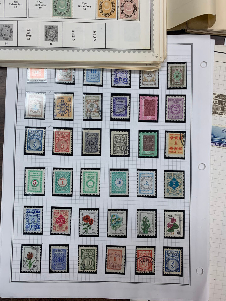 INTERNATIONAL SELECTION – 425963