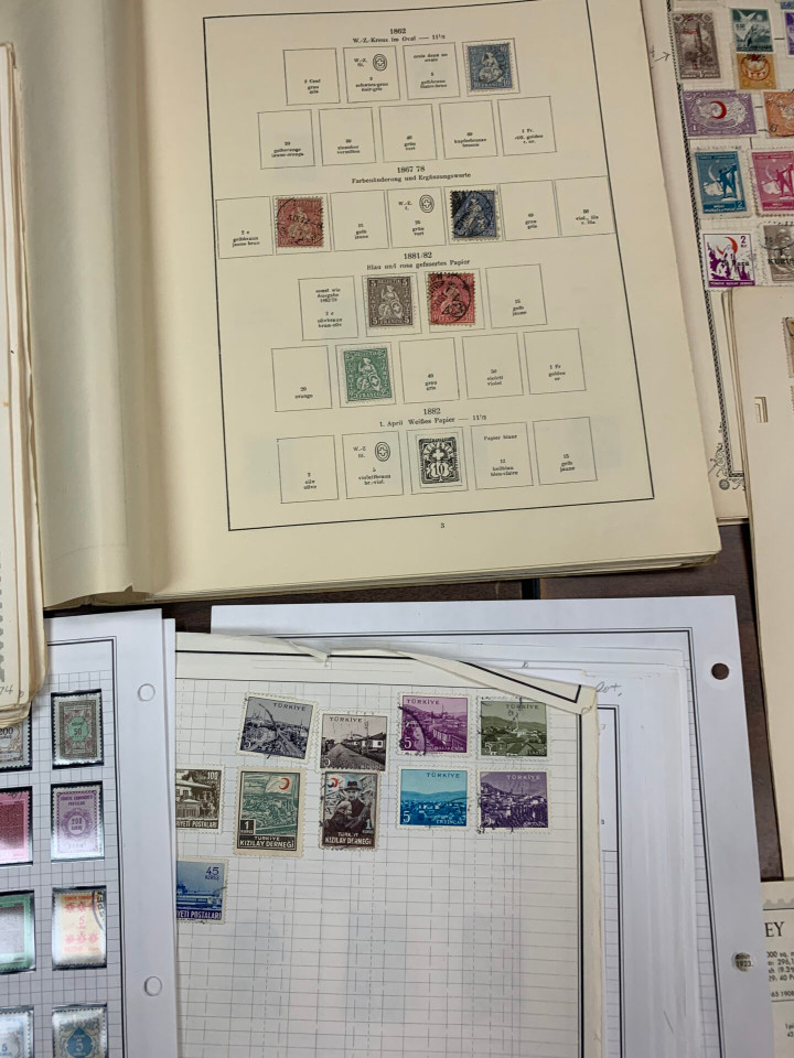 INTERNATIONAL SELECTION – 425963