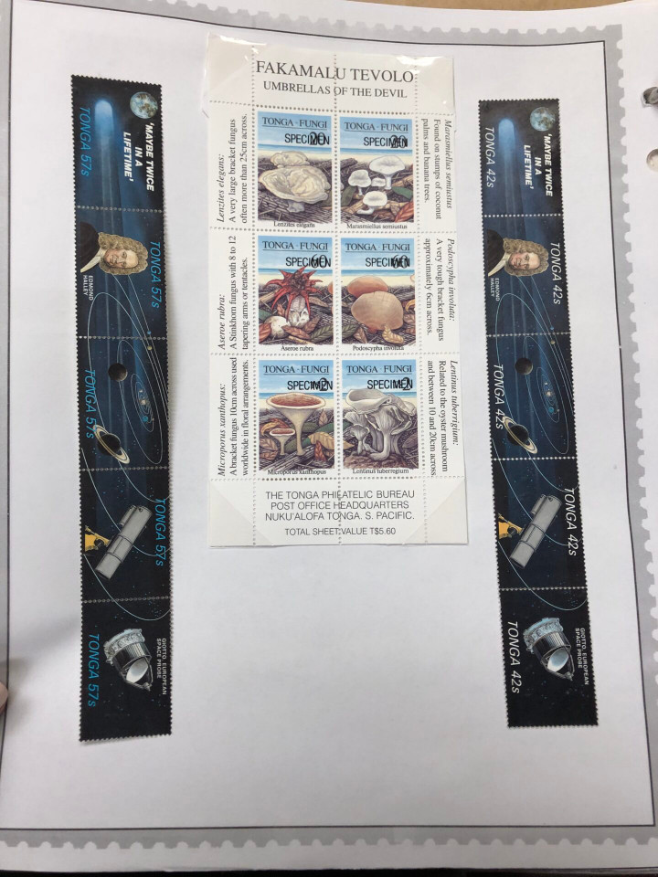 INTERNATIONAL COLLECTION – SYRIA TO YUGOSLAVIA – 426374