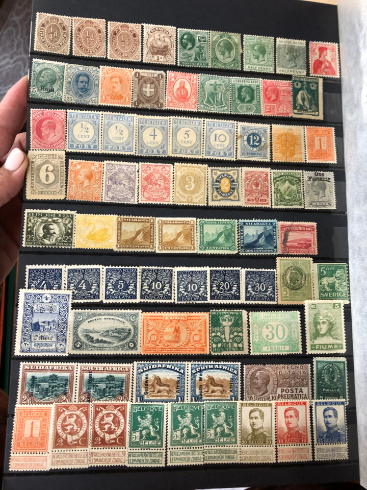 PREMIUM INTERNATIONAL SELECTION – 426358