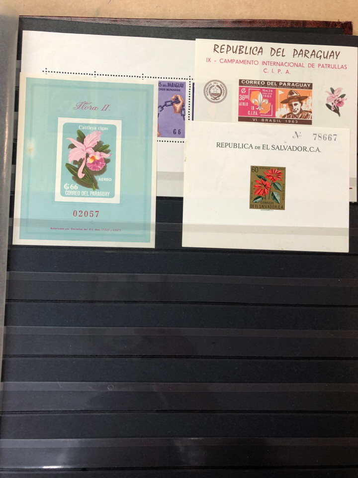 SELECTION OF MINT INTERNATIONAL SOUVENIR SHEETS – 426376