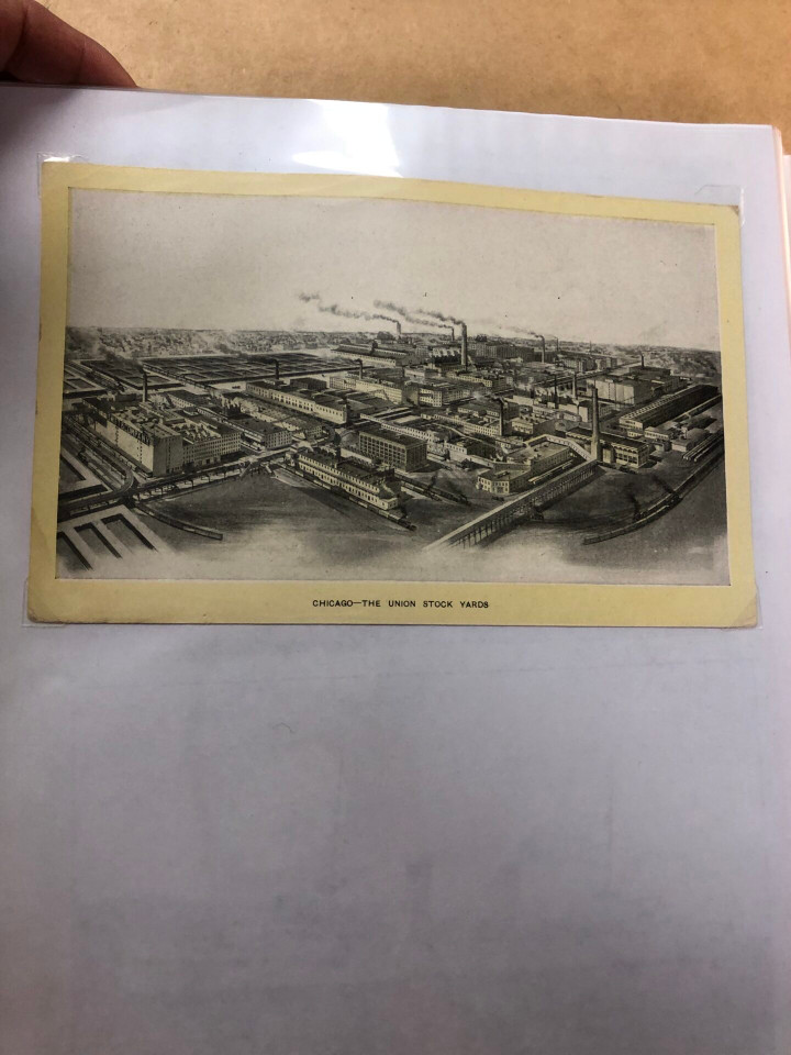 SINGER TRADE CARDS - SPECIALIST COLLECTION - 426411