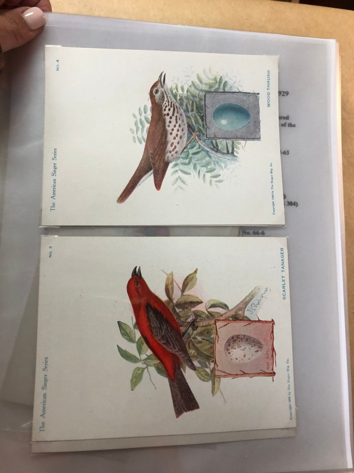 SINGER TRADE CARDS - SPECIALIST COLLECTION - 426411