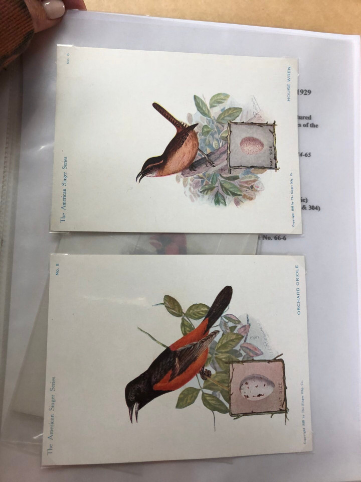 SINGER TRADE CARDS - SPECIALIST COLLECTION - 426411