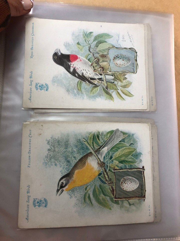 SINGER TRADE CARDS - SPECIALIST COLLECTION - 426411