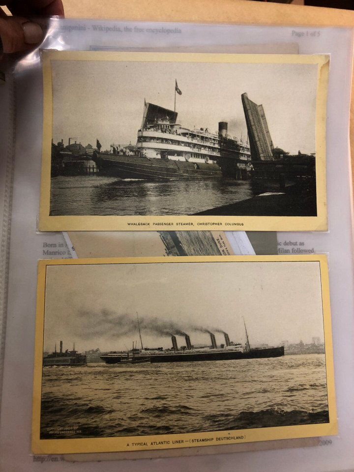 SINGER TRADE CARDS - SPECIALIST COLLECTION - 426411