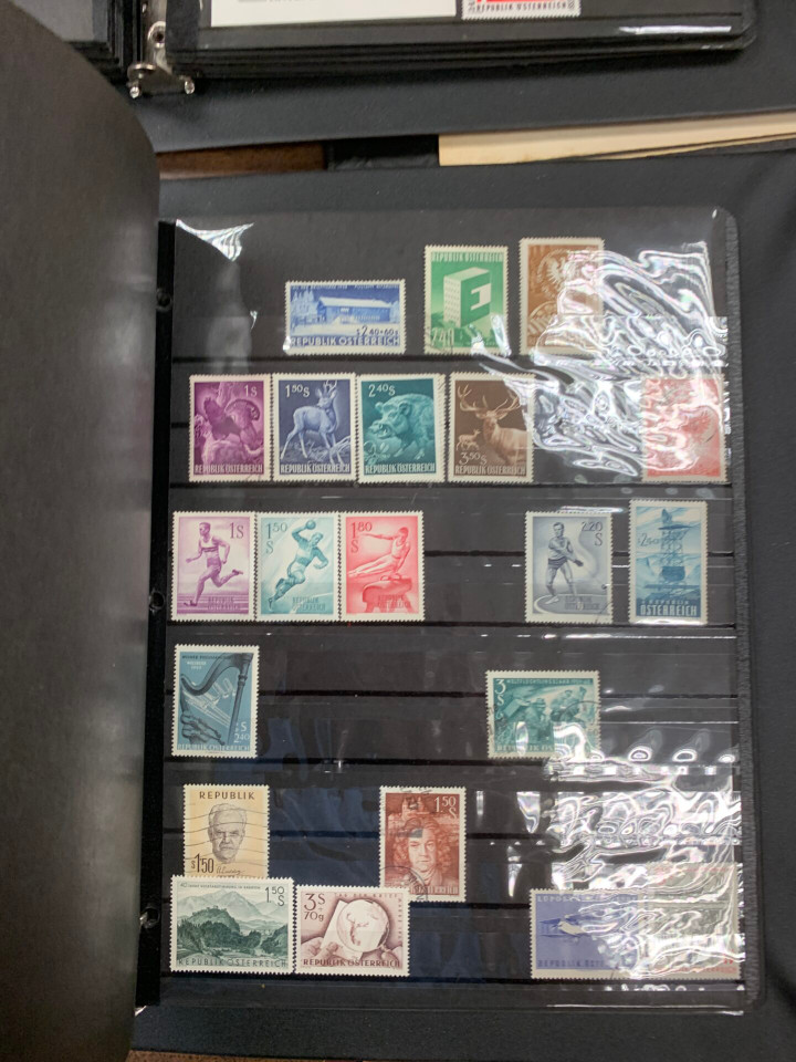 INTERNATIONAL SELECTION – 426363