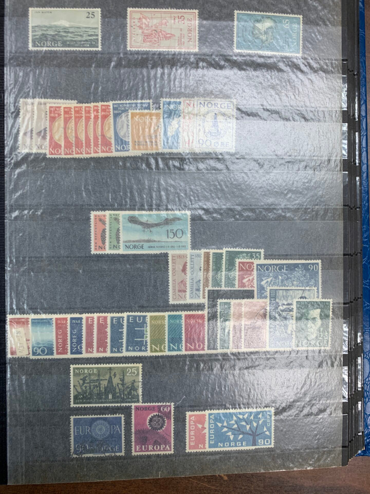 INTERNATIONAL SELECTION – 426363