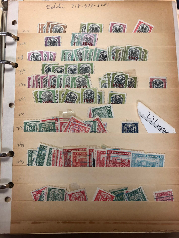 INTERNATIONAL SELECTION – D COUNTRIES – 426225