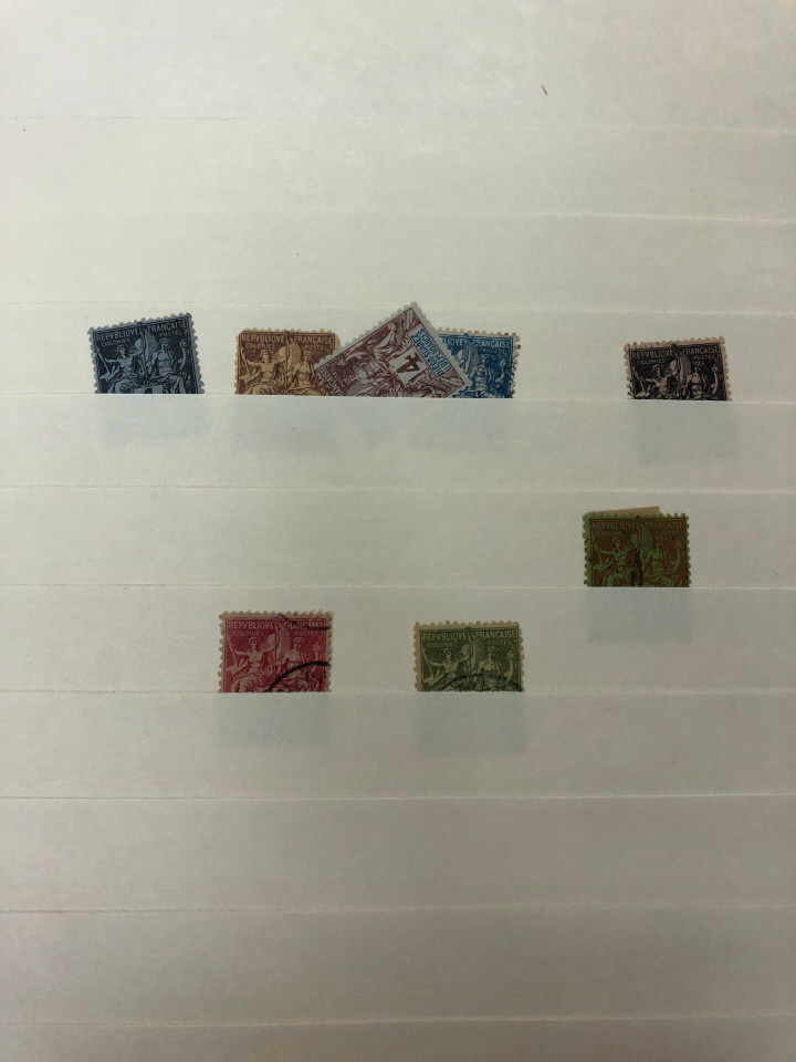 INTERNATIONAL SELECTION – D COUNTRIES – 426225