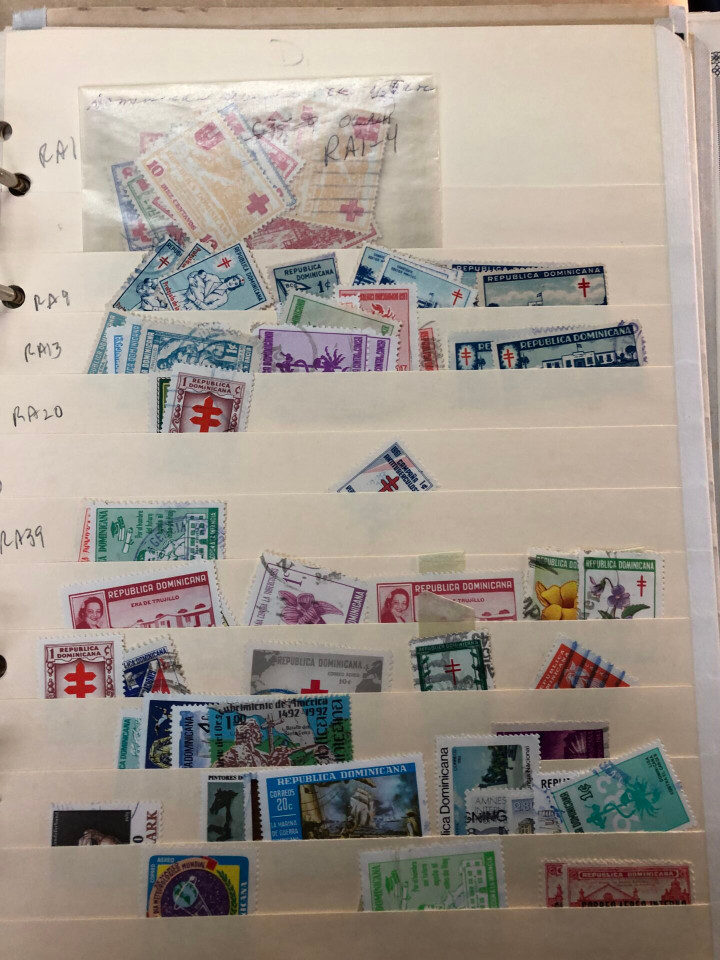 INTERNATIONAL SELECTION – D COUNTRIES – 426225