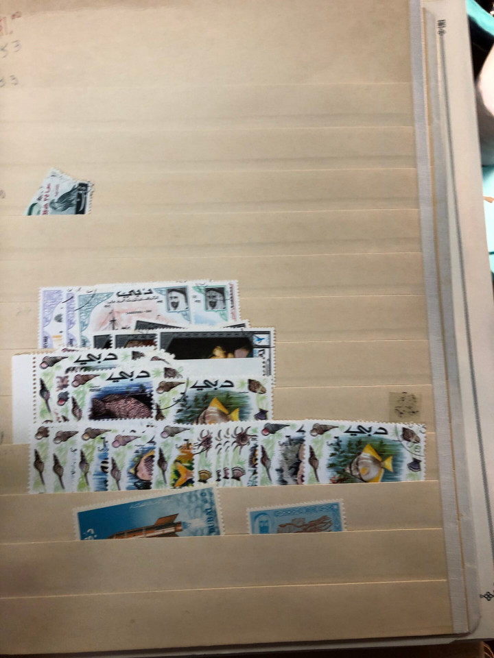 INTERNATIONAL SELECTION – D COUNTRIES – 426225