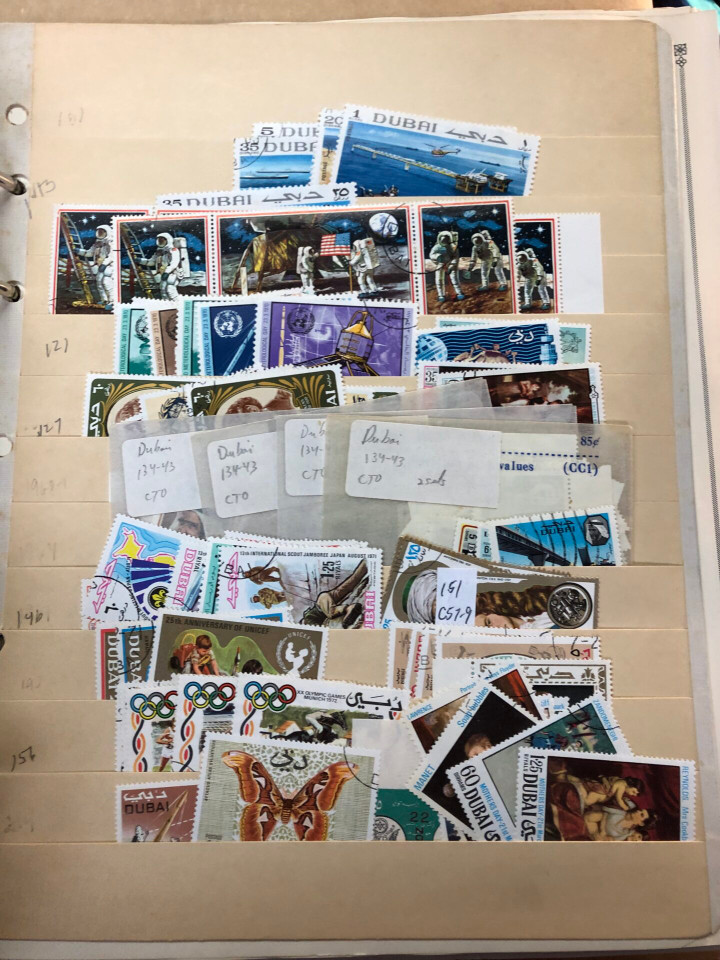 INTERNATIONAL SELECTION – D COUNTRIES – 426225