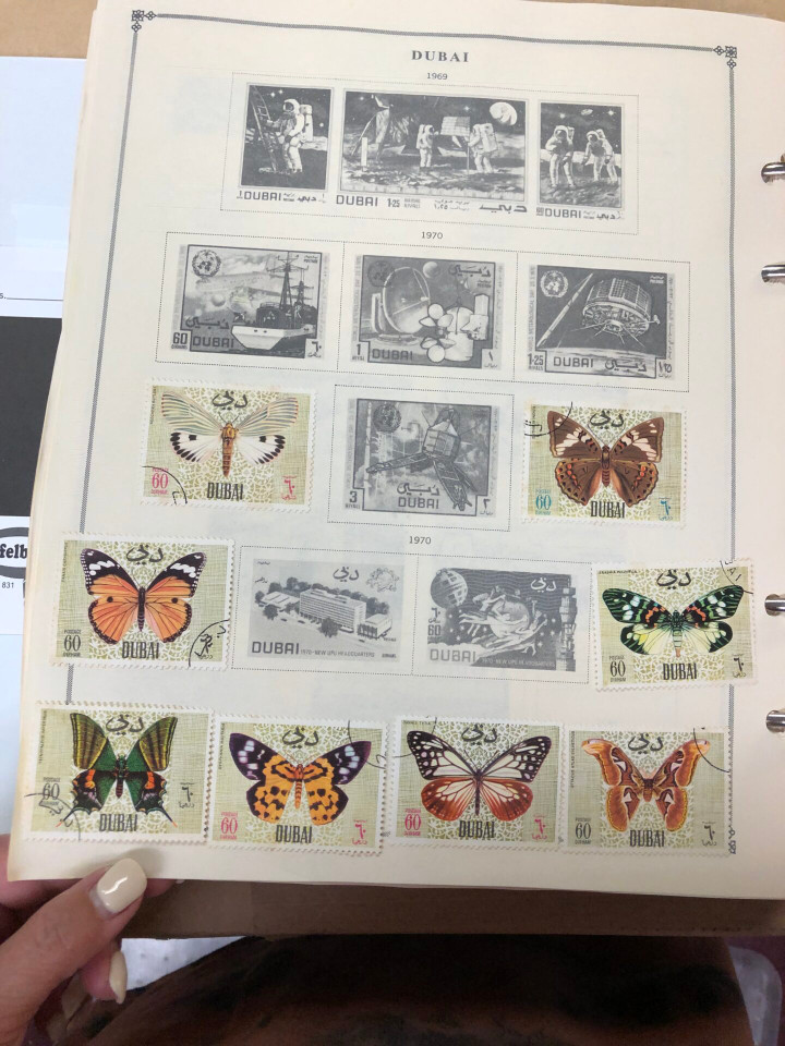 INTERNATIONAL SELECTION – D COUNTRIES – 426225