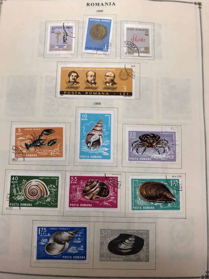 ROMANIA – NICE EXTENSIVE SELECTION - 426222