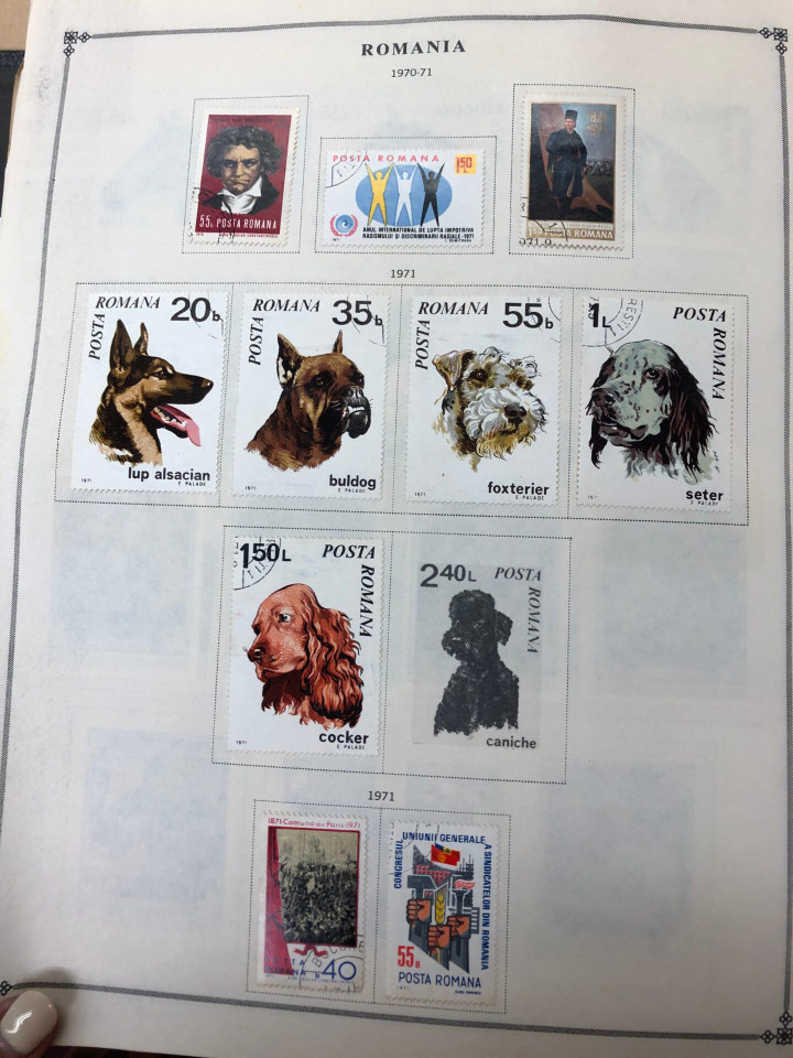 ROMANIA – NICE EXTENSIVE SELECTION - 426222