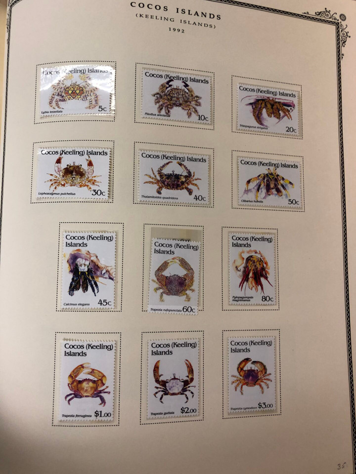 BRITISH OCEANIA – SOLID MODERN MINT COLLECTION – 426690